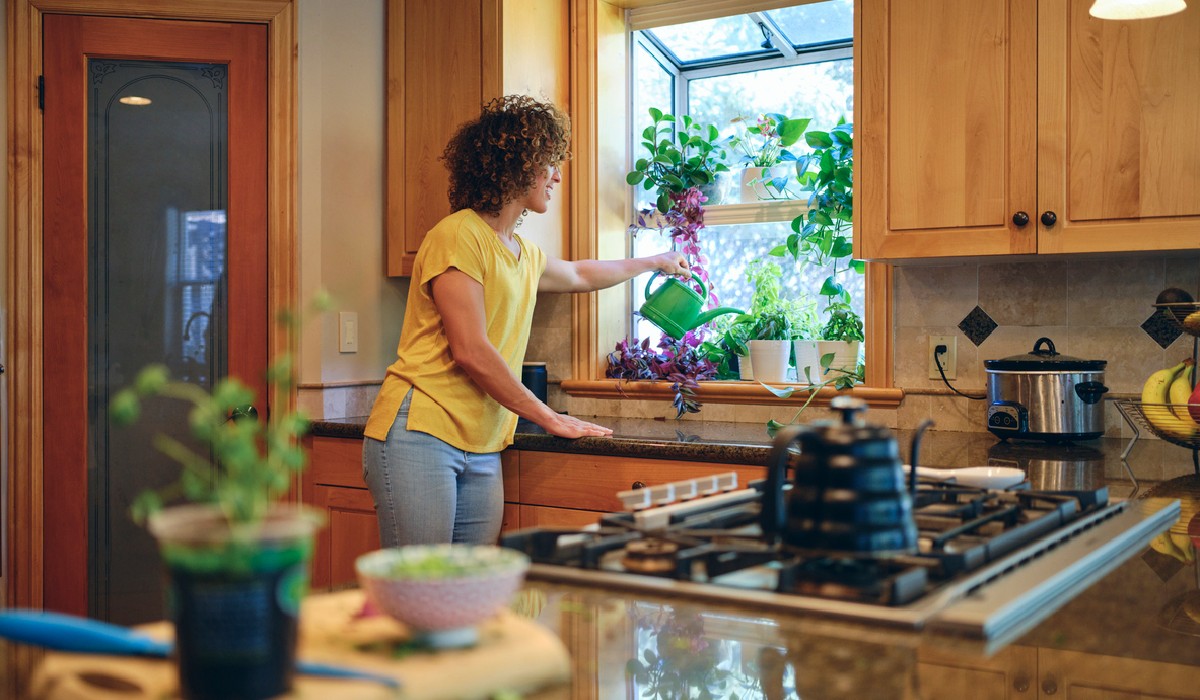 indoor-vegetable-garden independence Start Cultivating Vegetables With an Indoor Garden